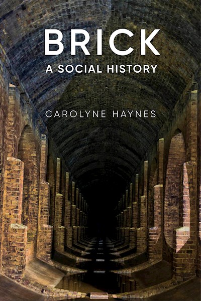 Brick by Carolyne Haynes. A social history