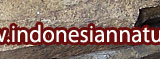 Indonesian Natural Stone Directory