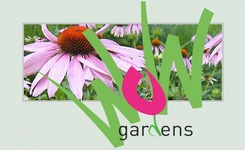 White of Witchampton Landscape and Garden Design in Hampshire, Wiltshire and Dorset